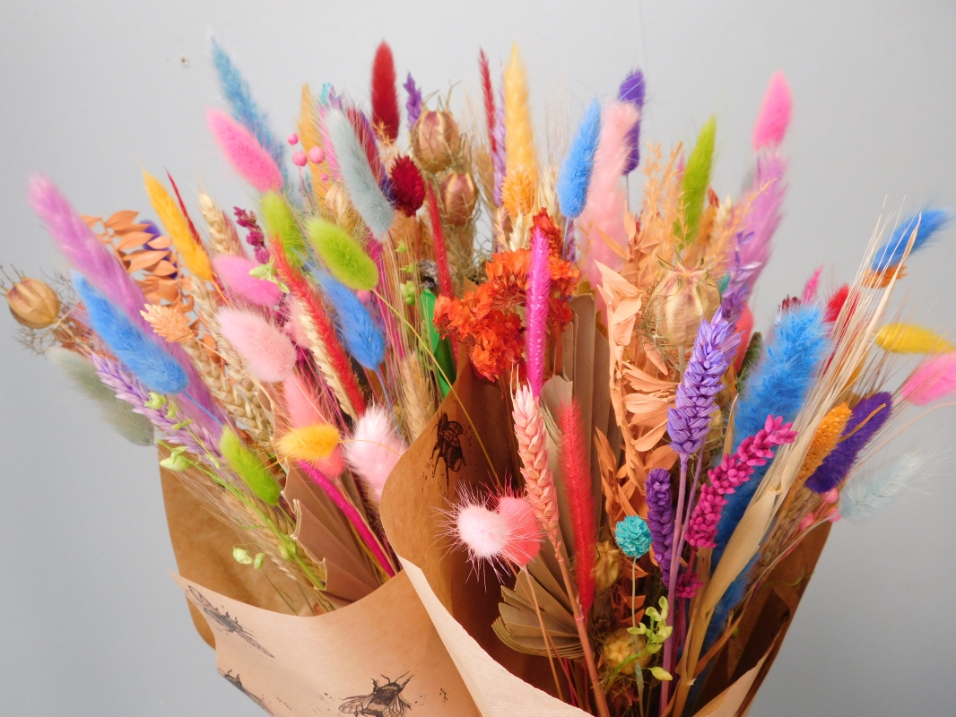 Carnival Dried Floral Bunch