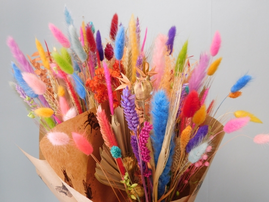 Carnival Dried Floral Bunch