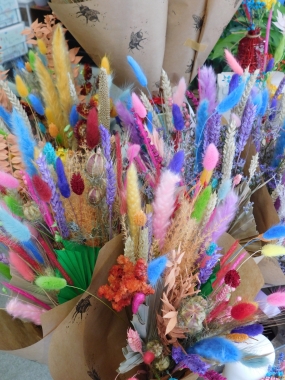 Carnival Dried Floral Bunch